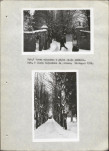 Ewidencja parkowa, skan nr 17