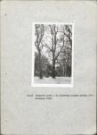 Ewidencja parkowa, skan nr 22