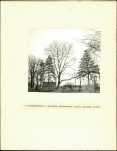 Ewidencja parkowa, skan nr 12