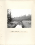 Ewidencja parkowa, skan nr 10