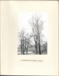 Ewidencja parkowa, skan nr 11