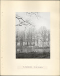 Ewidencja parkowa, skan nr 11