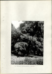 Ewidencja parkowa, skan nr 16