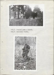 Ewidencja parkowa, skan nr 19