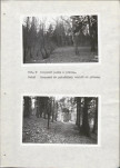 Ewidencja parkowa, skan nr 20