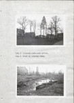 Ewidencja parkowa, skan nr 19