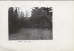 Ewidencja parkowa, skan nr 23