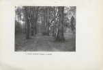 Ewidencja parkowa, skan nr 24