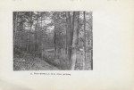 Ewidencja parkowa, skan nr 26