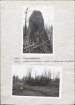 Ewidencja parkowa, skan nr 20
