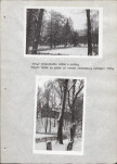 Ewidencja parkowa, skan nr 19