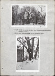 Ewidencja parkowa, skan nr 20
