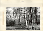 Ewidencja parkowa, skan nr 19