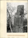 Ewidencja parkowa, skan nr 29