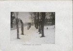 Ewidencja parkowa, skan nr 16