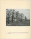 Ewidencja parkowa, skan nr 14