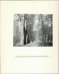 Ewidencja parkowa, skan nr 25