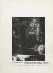 Ewidencja parkowa, skan nr 28