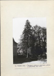 Ewidencja parkowa, skan nr 35