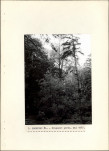 Ewidencja parkowa, skan nr 23