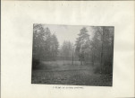 Ewidencja parkowa, skan nr 29
