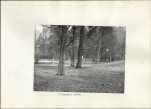 Ewidencja parkowa, skan nr 17