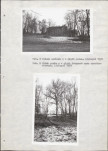 Ewidencja parkowa, skan nr 16