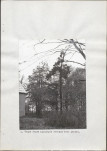 Ewidencja parkowa, skan nr 17