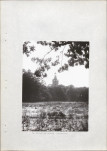 Ewidencja parkowa, skan nr 20