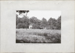 Ewidencja parkowa, skan nr 23