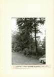 Ewidencja parkowa, skan nr 22
