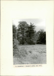 Ewidencja parkowa, skan nr 29