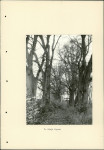 Ewidencja parkowa, skan nr 29