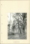 Ewidencja parkowa, skan nr 32