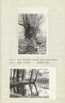 Ewidencja parkowa, skan nr 22