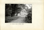 Ewidencja parkowa, skan nr 15