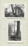 Ewidencja parkowa, skan nr 20
