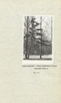 Ewidencja parkowa, skan nr 28