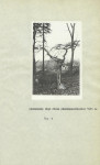 Ewidencja parkowa, skan nr 20