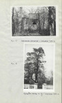 Ewidencja parkowa, skan nr 24
