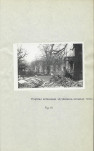 Ewidencja parkowa, skan nr 25