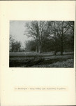 Ewidencja parkowa, skan nr 15