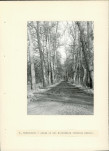 Ewidencja parkowa, skan nr 17