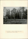 Ewidencja parkowa, skan nr 20