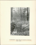 Ewidencja parkowa, skan nr 24