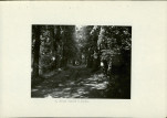 Ewidencja parkowa, skan nr 21