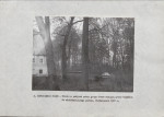 Ewidencja parkowa, skan nr 16