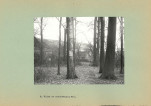 Ewidencja parkowa, skan nr 19