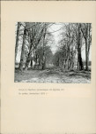 Ewidencja parkowa, skan nr 26