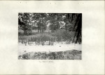 EP - Ewidencja parkowa, skan nr 18